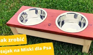 Jak zrobić stojak na miski dla psa - proste i tanie sposoby DIY
